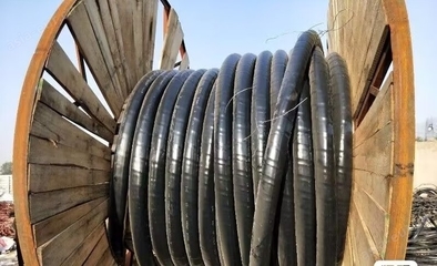 10-600伏電力電纜 現代電力傳輸的基石